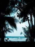 天下第一刀客