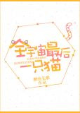 全宇宙最后一只猫